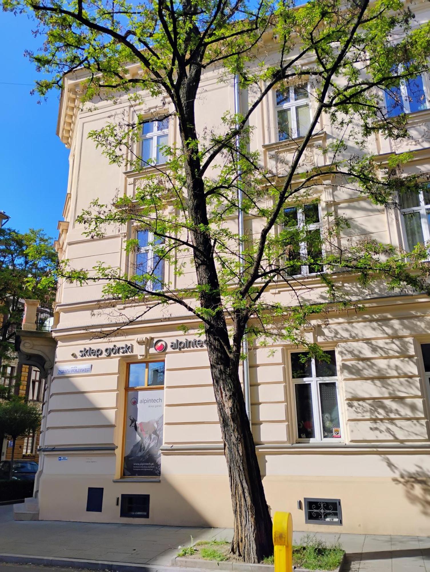 Apartament Rozy كراكوفيا المظهر الخارجي الصورة